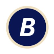 Bluezone Advisory logo