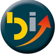Burning Issues Consulting logo