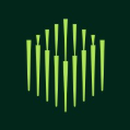 Paid.ai logo