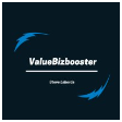 ValueBizBooster logo